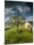 Old Farmhouse, Pergusa, Enna, Sicily, Italy-Walter Bibikow-Mounted Photographic Print