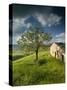 Old Farmhouse, Pergusa, Enna, Sicily, Italy-Walter Bibikow-Stretched Canvas