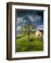 Old Farmhouse, Pergusa, Enna, Sicily, Italy-Walter Bibikow-Framed Photographic Print