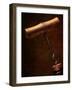 Old-Fashioned Corkscrew Uncorking Bottle-Steve Lupton-Framed Photographic Print