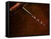 Old-Fashioned Corkscrew-Steve Lupton-Framed Stretched Canvas