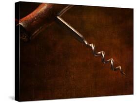 Old-Fashioned Corkscrew-Steve Lupton-Stretched Canvas