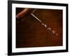 Old-Fashioned Corkscrew-Steve Lupton-Framed Photographic Print