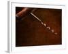 Old-Fashioned Corkscrew-Steve Lupton-Framed Photographic Print