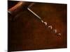 Old-Fashioned Corkscrew-Steve Lupton-Mounted Photographic Print