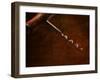 Old-Fashioned Corkscrew-Steve Lupton-Framed Photographic Print