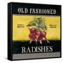 Old Fashioned Radishes-Kimberly Poloson-Framed Stretched Canvas