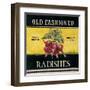 Old Fashioned Radishes-Kimberly Poloson-Framed Art Print