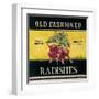 Old Fashioned Radishes-Kimberly Poloson-Framed Art Print