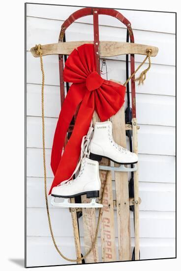 Old fashioned sled with ice skates at Chico Hot Springs, Pray, Montana, USA-Chuck Haney-Mounted Premium Photographic Print