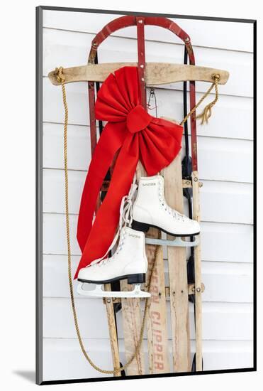 Old fashioned sled with ice skates at Chico Hot Springs, Pray, Montana, USA-Chuck Haney-Mounted Photographic Print