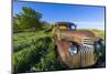 Old Feed Truck Near Medora, North Dakota, Usa-Chuck Haney-Mounted Photographic Print