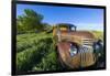 Old Feed Truck Near Medora, North Dakota, Usa-Chuck Haney-Framed Photographic Print