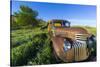 Old Feed Truck Near Medora, North Dakota, Usa-Chuck Haney-Stretched Canvas