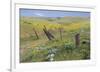 Old Fence Line-Don Paulson-Framed Giclee Print