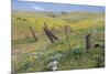 Old Fence Line-Don Paulson-Mounted Giclee Print