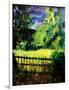 Old fence-Pol Ledent-Framed Art Print