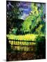 Old fence-Pol Ledent-Mounted Art Print