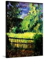 Old fence-Pol Ledent-Stretched Canvas