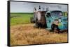 Old Field Fuel Truck with Multi Color Paint-null-Framed Stretched Canvas