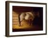 Old Field Horse, by 1856-George Caleb Bingham-Framed Giclee Print