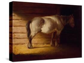 Old Field Horse, by 1856-George Caleb Bingham-Stretched Canvas