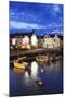 Old Fishery Port, Port Haliguen, Quiberon, Cote De Morbihan, Brittany, France, Europe-Markus Lange-Mounted Photographic Print