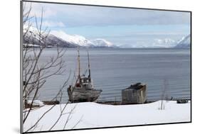 Old Fishing Boat Laid Up on Kvaloya (Whale Island), Troms, Arctic Norway, Scandinavia, Europe-David Lomax-Mounted Photographic Print