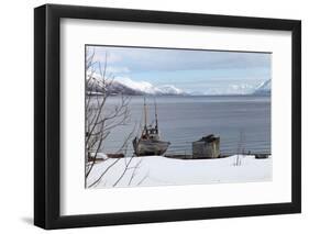 Old Fishing Boat Laid Up on Kvaloya (Whale Island), Troms, Arctic Norway, Scandinavia, Europe-David Lomax-Framed Photographic Print