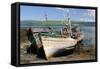 Old Fishing Boats, Near Salen, Mull, Argyll and Bute, Scotland-Peter Thompson-Framed Stretched Canvas