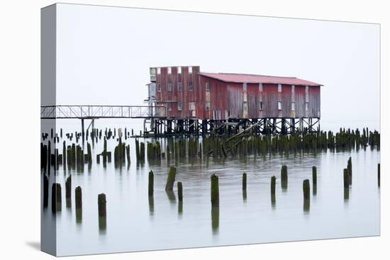 Old Fishing Cannery on the Columbia River, Astoria, Oregon, USA-Jamie & Judy Wild-Stretched Canvas
