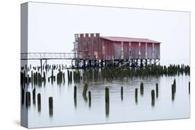 Old Fishing Cannery on the Columbia River, Astoria, Oregon, USA-Jamie & Judy Wild-Stretched Canvas