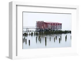 Old Fishing Cannery on the Columbia River, Astoria, Oregon, USA-Jamie & Judy Wild-Framed Photographic Print