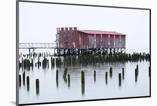 Old Fishing Cannery on the Columbia River, Astoria, Oregon, USA-Jamie & Judy Wild-Mounted Photographic Print