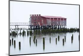 Old Fishing Cannery on the Columbia River, Astoria, Oregon, USA-Jamie & Judy Wild-Mounted Photographic Print