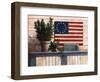 Old Flag with Ivy-unknown Chiu-Framed Art Print