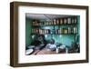 Old Food Conserves in the Port Lockroy Research Station, Antarctica, Polar Regions-Michael Runkel-Framed Photographic Print