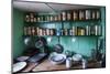 Old Food Conserves in the Port Lockroy Research Station, Antarctica, Polar Regions-Michael Runkel-Mounted Photographic Print