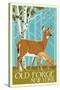 Old Forge, New York - Deer and Fawn - Letterpress-Lantern Press-Stretched Canvas