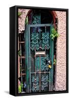 Old French Door, New Orleans, Louisiana, USA-Joe Restuccia III-Framed Stretched Canvas