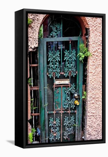 Old French Door, New Orleans, Louisiana, USA-Joe Restuccia III-Framed Stretched Canvas