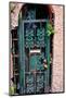 Old French Door, New Orleans, Louisiana, USA-Joe Restuccia III-Mounted Photographic Print