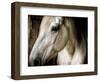 Old Friend-Stephen Arens-Framed Photographic Print