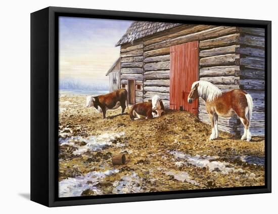 Old Friends 1-Kevin Dodds-Framed Stretched Canvas