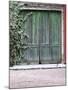 Old Garage Door, Vinos Finos H Stagnari Winery, La Puebla, La Paz, Canelones, Montevideo, Uruguay-Per Karlsson-Mounted Photographic Print