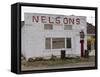 Old Gas Pump in Cannonville, Utah, USA-Diane Johnson-Framed Stretched Canvas