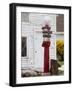 Old Gas Pump in Cannonville, Utah, USA-Diane Johnson-Framed Photographic Print