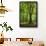 Old Gigantic Beeches in a Former Wood Pasture (Pastoral Forest), Sababurg, Hesse-Andreas Vitting-Framed Photographic Print displayed on a wall