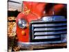 Old GMC Truck During Fall, Santa Barbara, California, USA-Savanah Stewart-Stretched Canvas