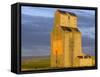 Old Granary at Sipple, Montana, USA-Chuck Haney-Framed Stretched Canvas